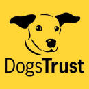 Google street view tours by Studio360 at The Dogs Trust